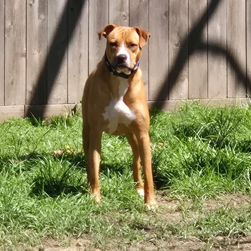 Frank Sinatra thumbnail 5