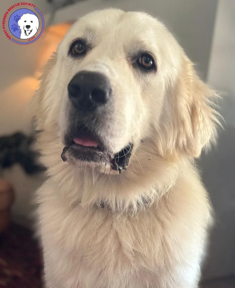 Handsome