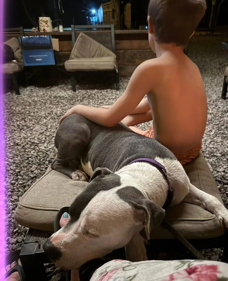 Galiano Loves Kids thumbnail 3