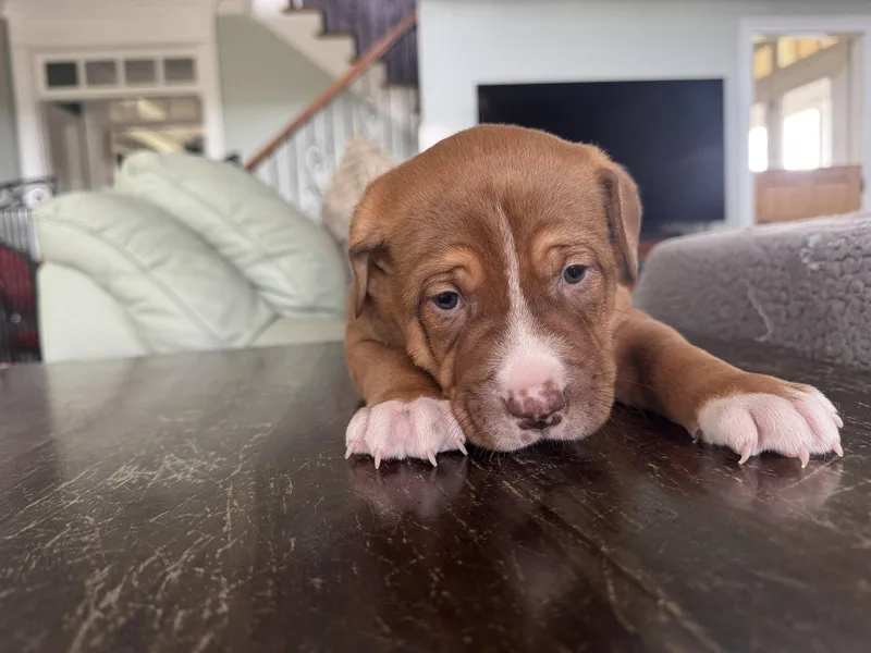 Wrinkles thumbnail 2