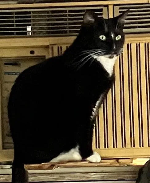 Mamamommac thumbnail 3