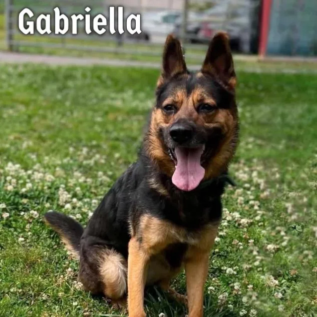 Gabriella