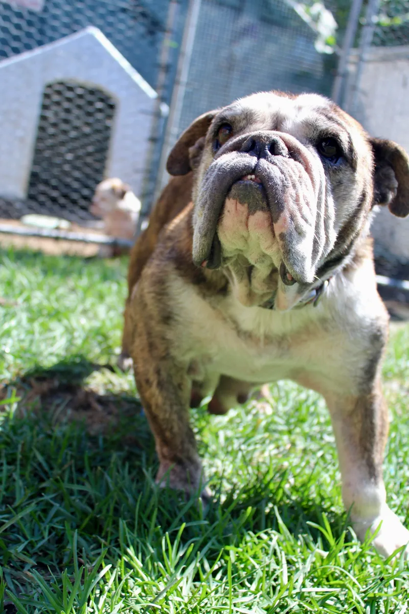 Momma Lucy thumbnail 5