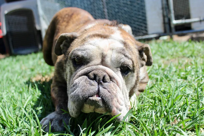 Momma Lucy thumbnail 6