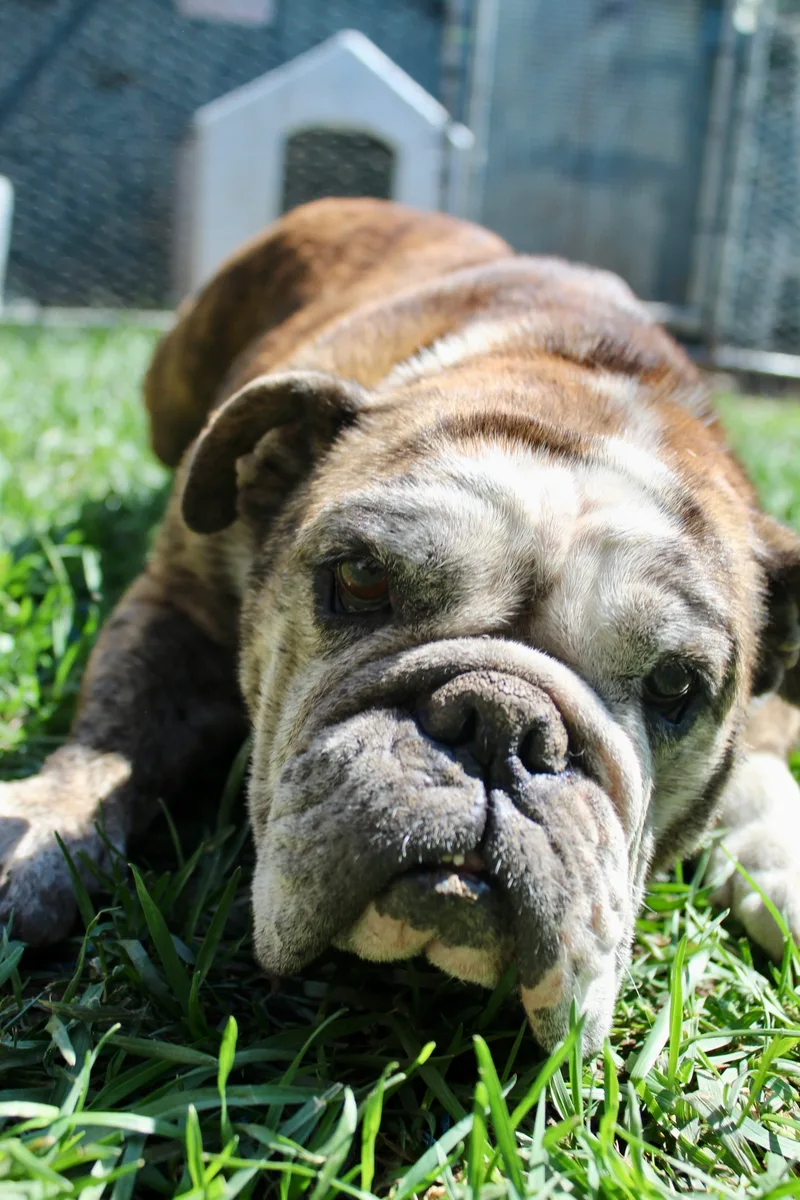 Momma Lucy thumbnail 4