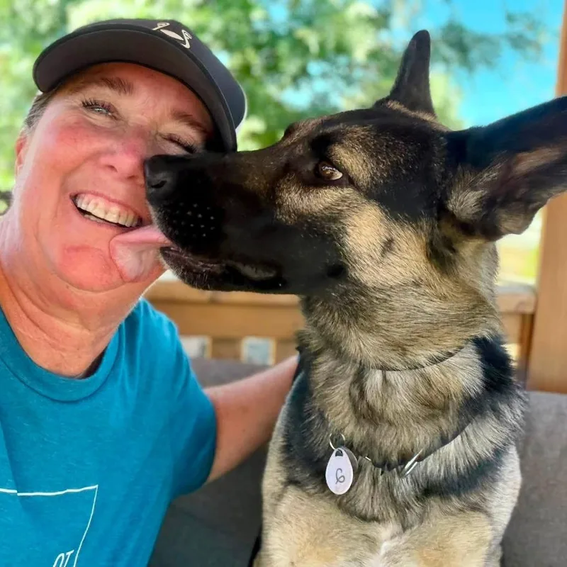 An adult large-sized female Black German Shepherd Dog dog named Willow for adoption in Ramona, CA
