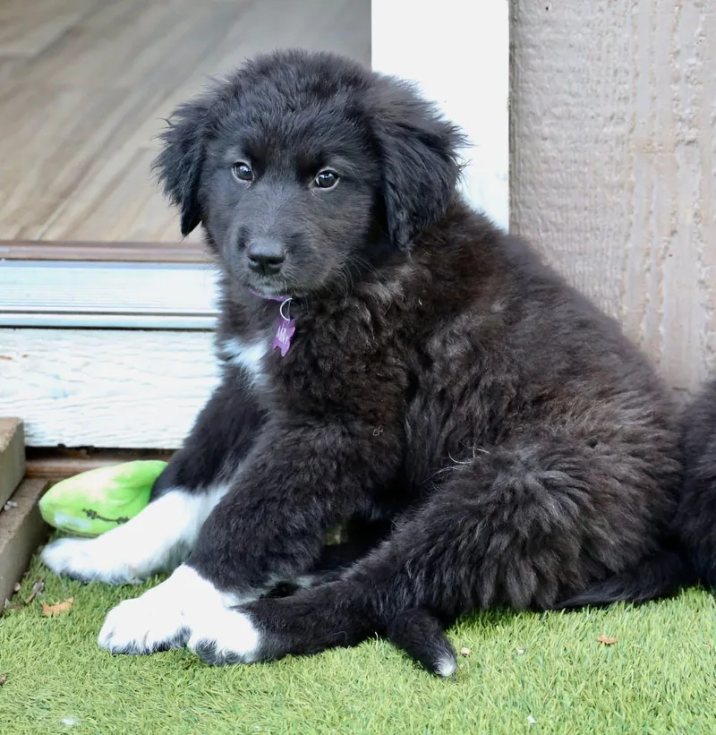 Yeahyeah thumbnail 2