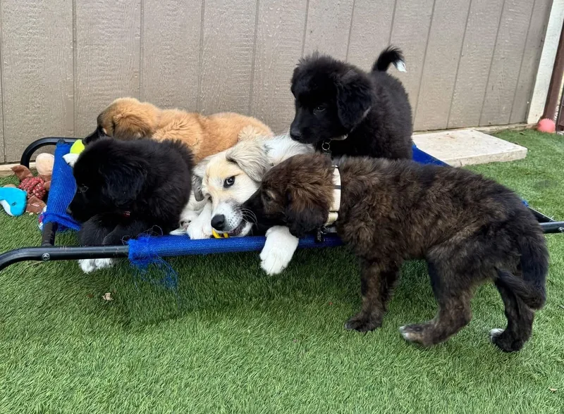 Yeahyeah thumbnail 3