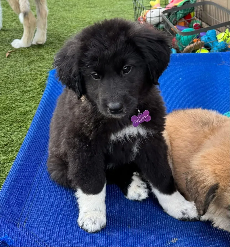 Yeahyeah thumbnail 4