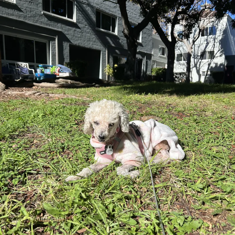 Madeline thumbnail 3