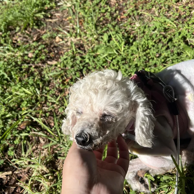 Madeline thumbnail 4