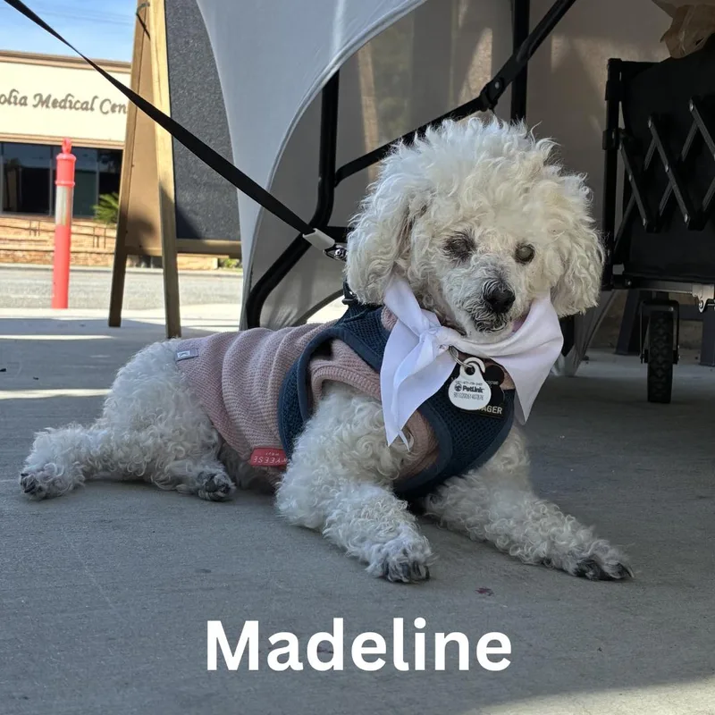 Madeline