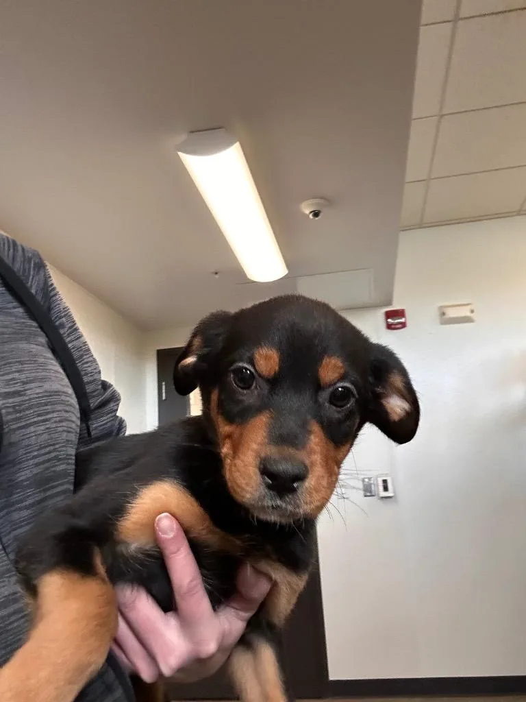 Hotel California thumbnail 2