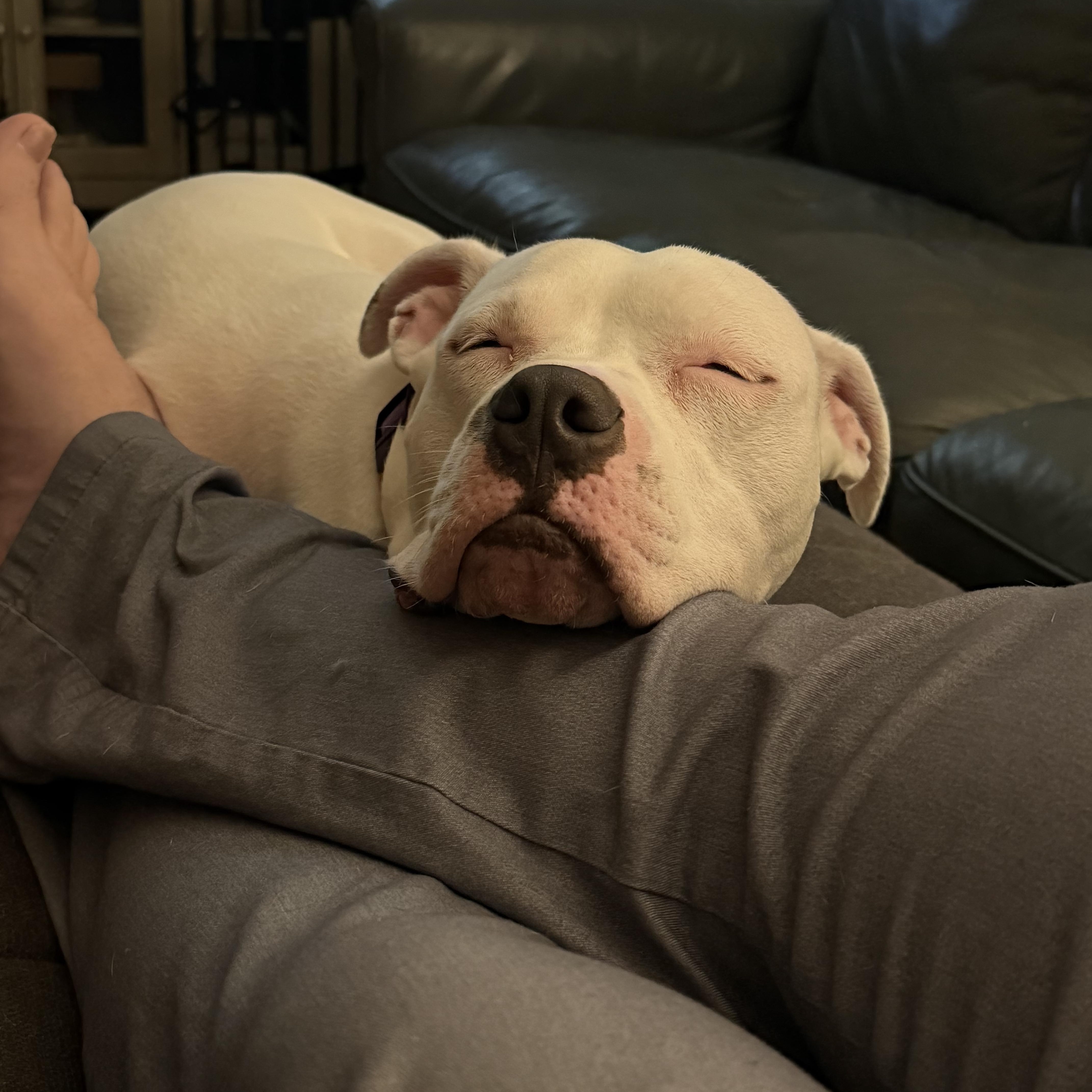 Maggie thumbnail 4
