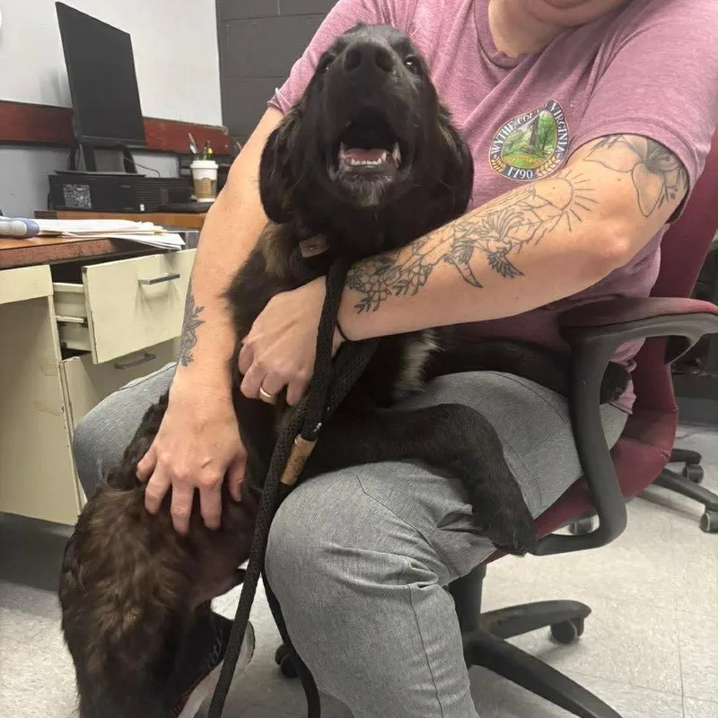 Ezra thumbnail 2