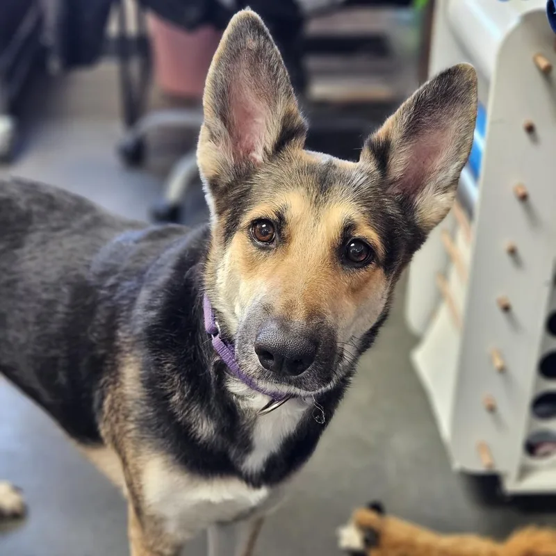 Juliette thumbnail 2