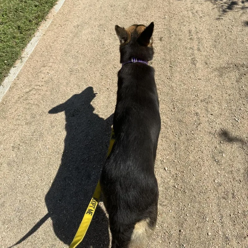 Juliette thumbnail 3