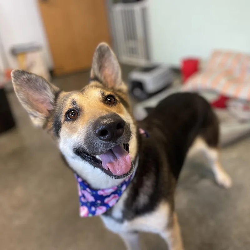 Juliette thumbnail 4