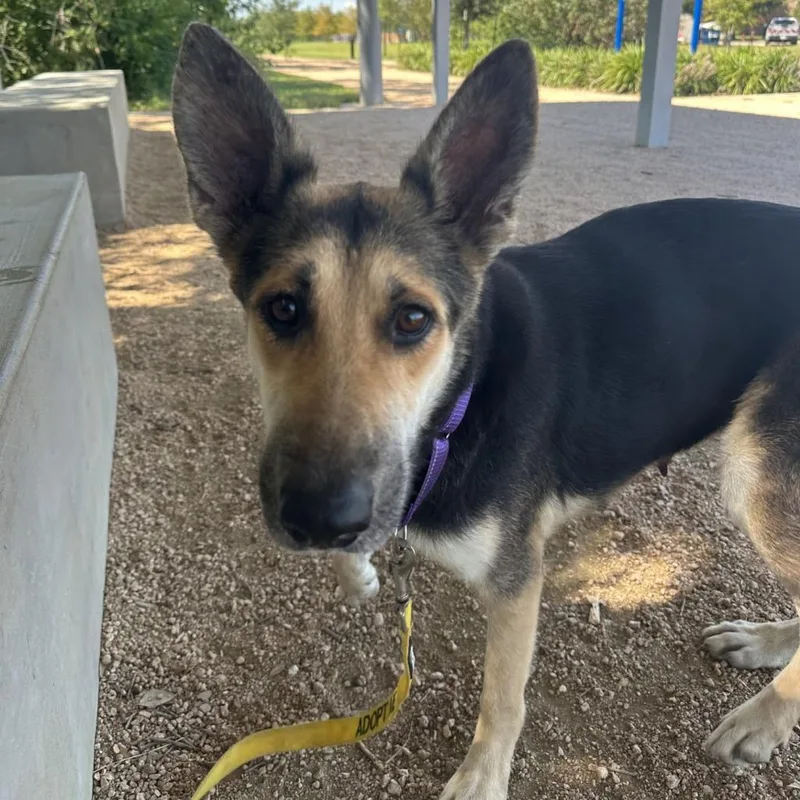 Juliette thumbnail 5