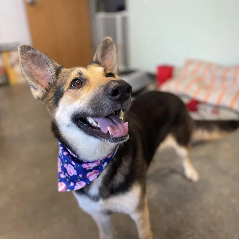 Juliette thumbnail 6