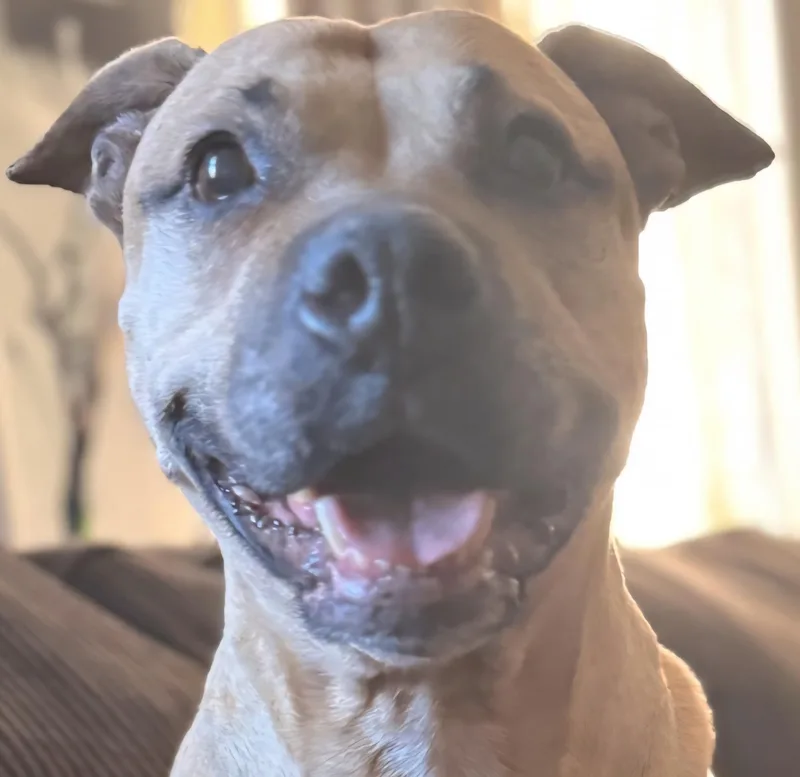 Sparkle Mia "the Light