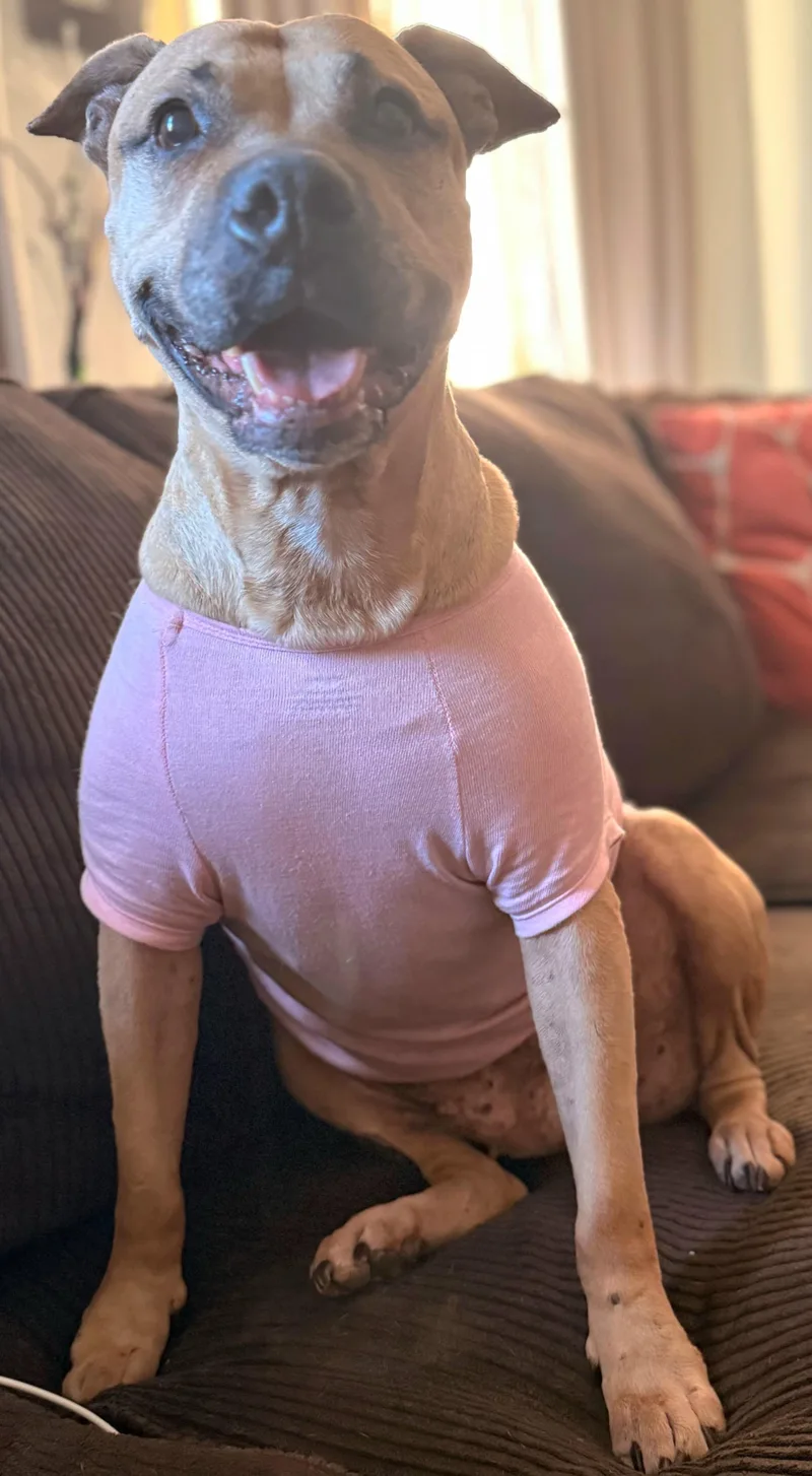 Sparkle Mia "the Light thumbnail 2