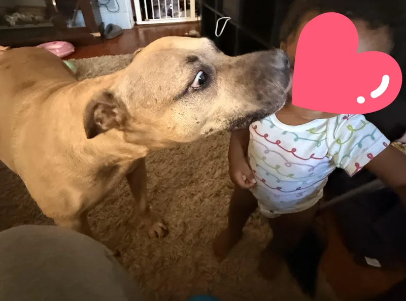 Sparkle Mia "the Light thumbnail 3