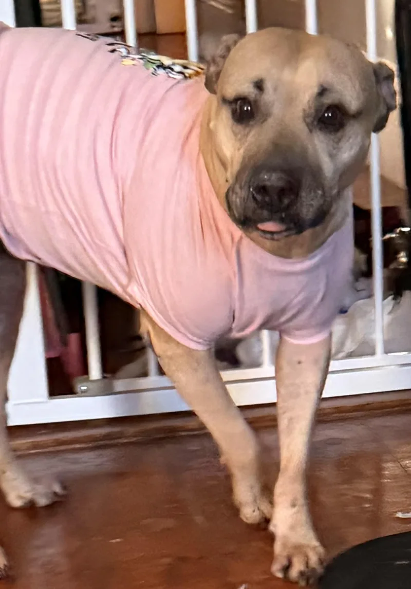 Sparkle Mia "the Light thumbnail 4