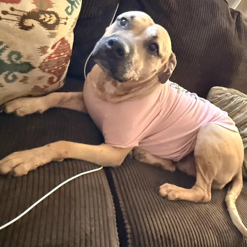 Sparkle Mia "the Light thumbnail 5