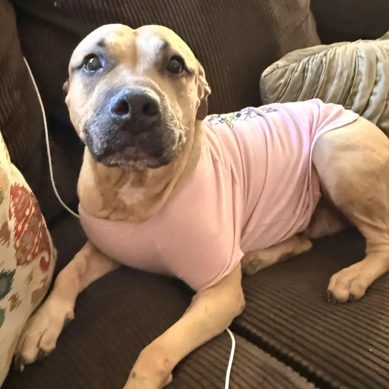 Sparkle Mia "the Light thumbnail 6