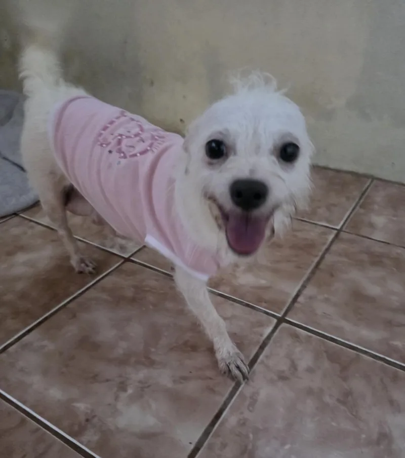 Leila