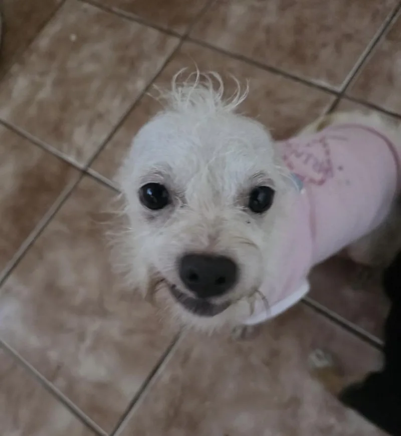 Leila thumbnail 3
