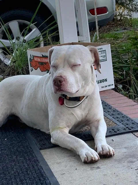 Tater aka Tay Tay thumbnail 3