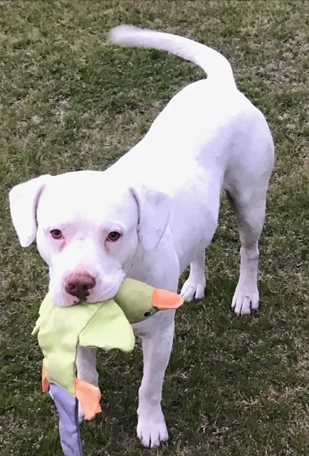 Tater aka Tay Tay thumbnail 4