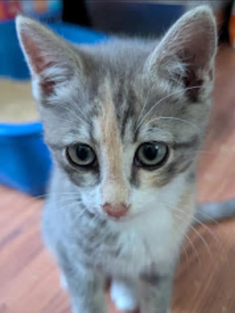 Zoey thumbnail 3