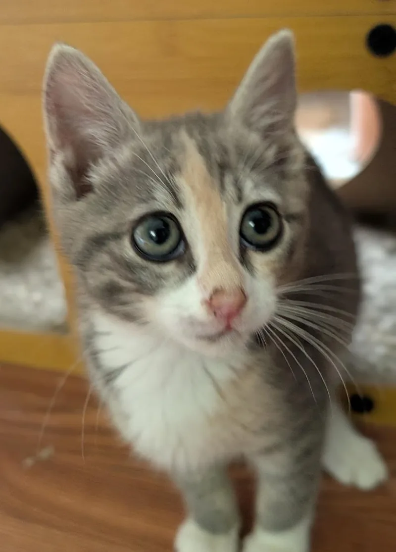 Zoey thumbnail 6