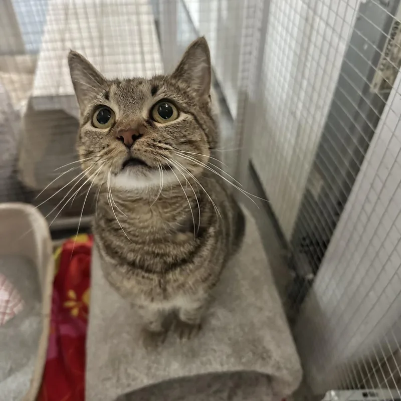 Serenity thumbnail 2