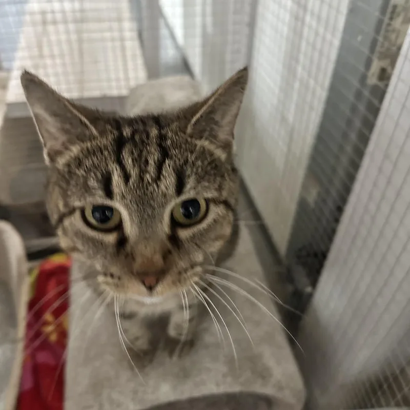 Serenity thumbnail 3