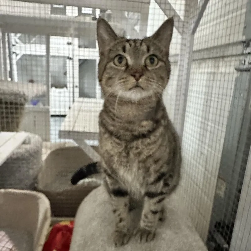 Serenity thumbnail 4