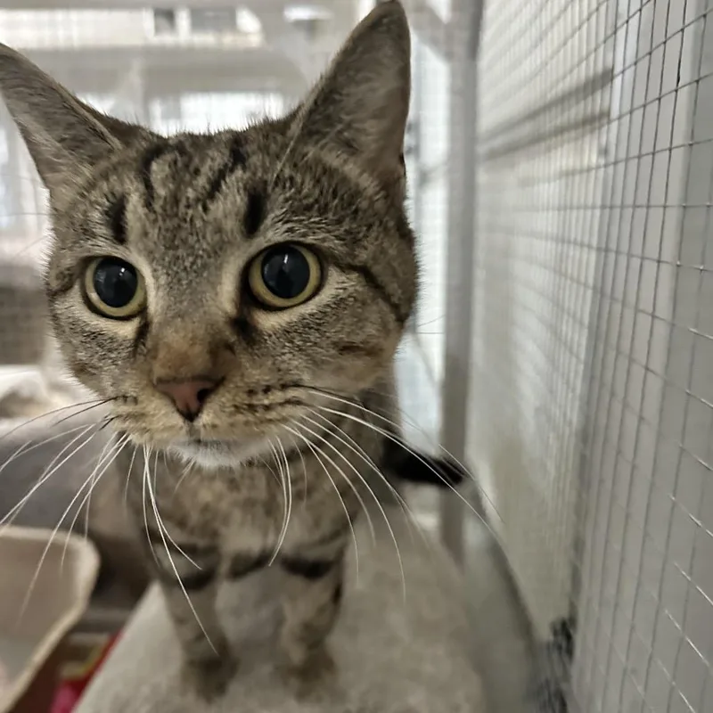 Serenity thumbnail 5