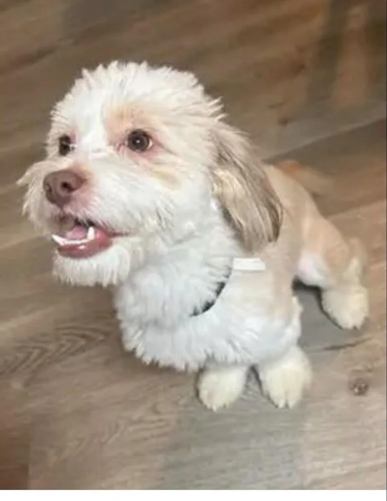 Tucker