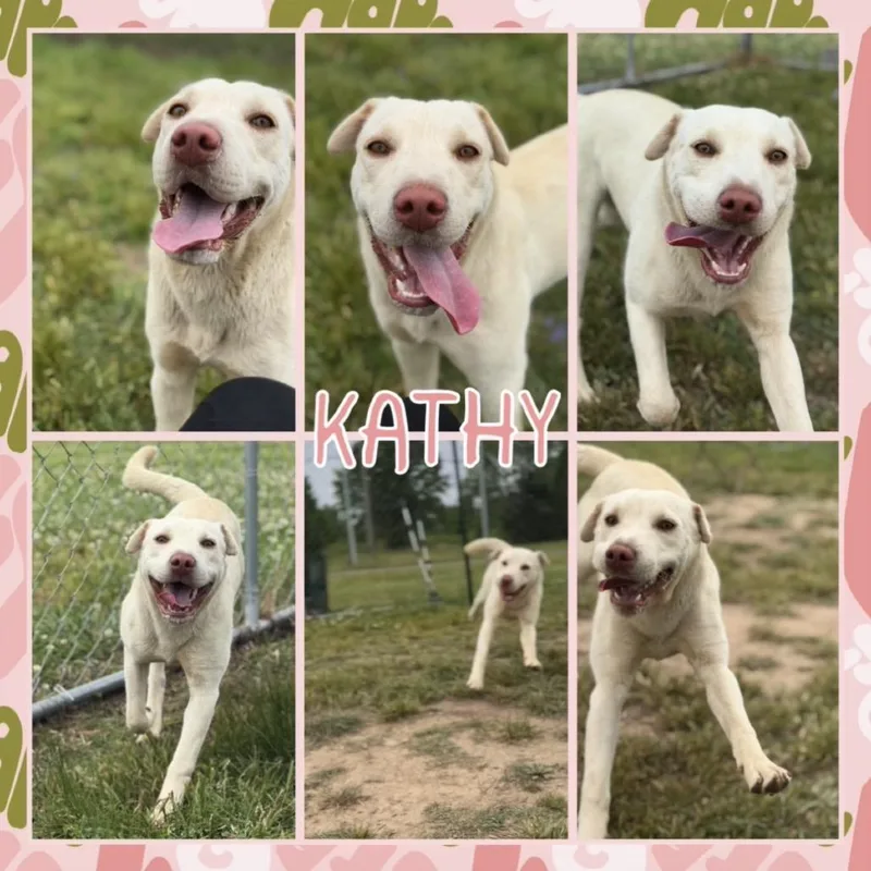 Kathy thumbnail 2