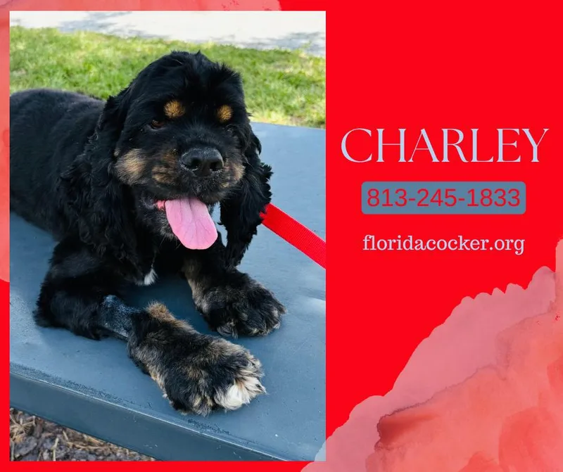 Charley