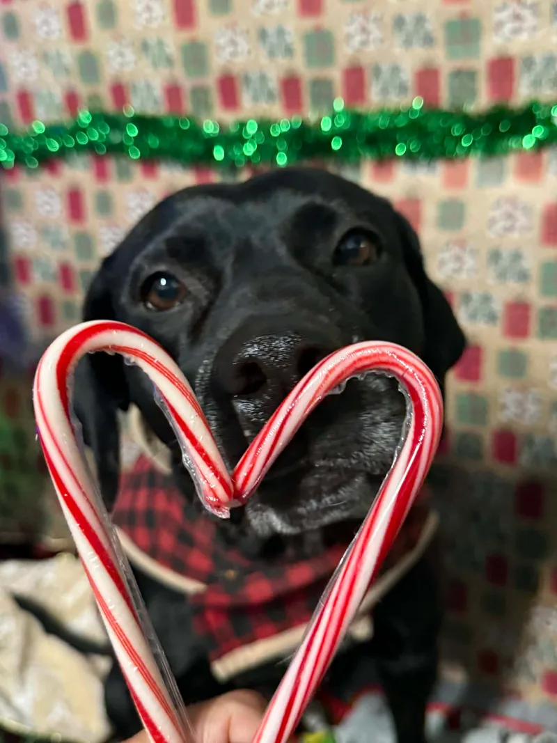 Black Betty thumbnail 13