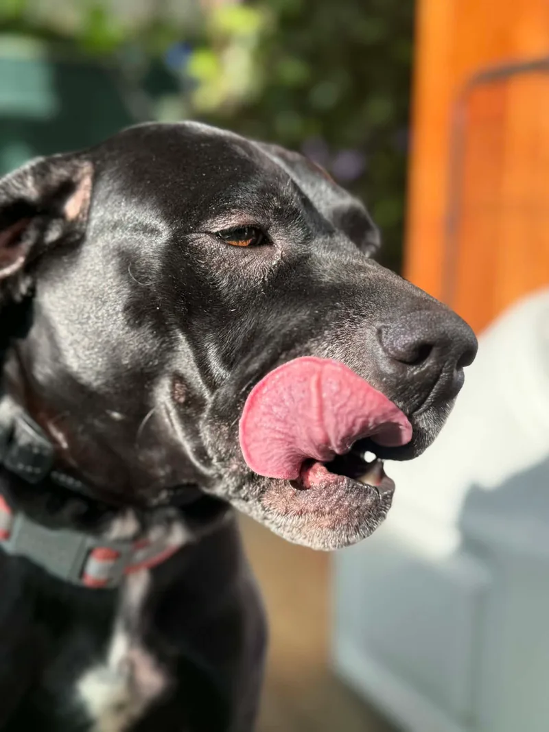 Black Betty thumbnail 12