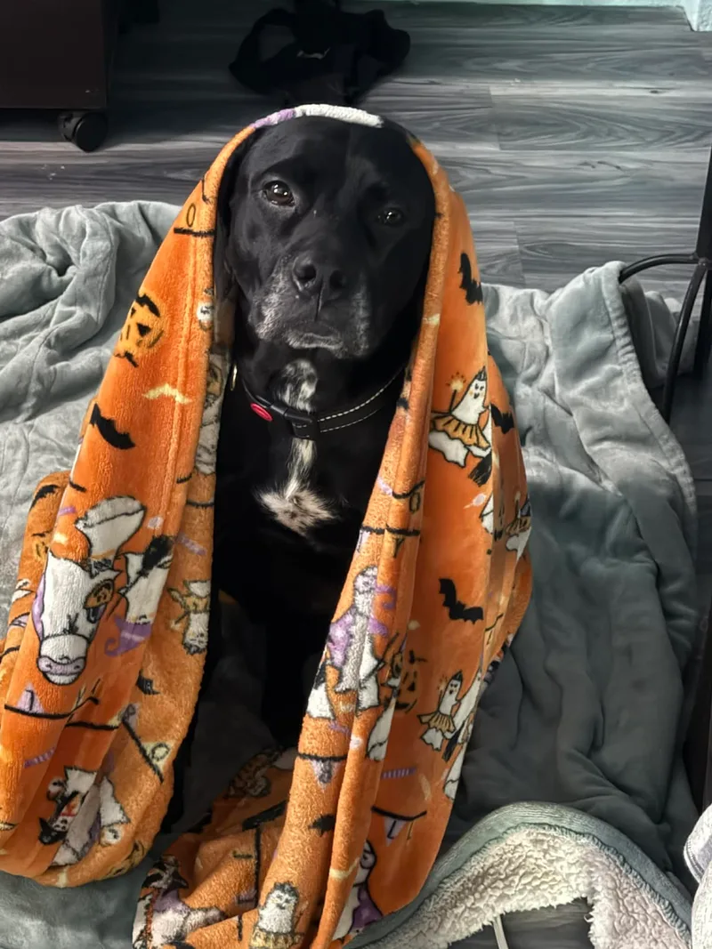 Black Betty thumbnail 6