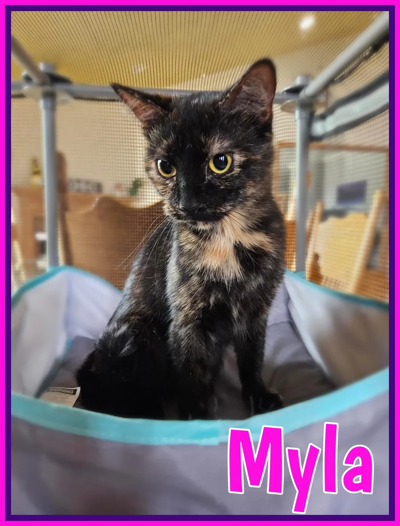 Myla  full of thumbnail 2
