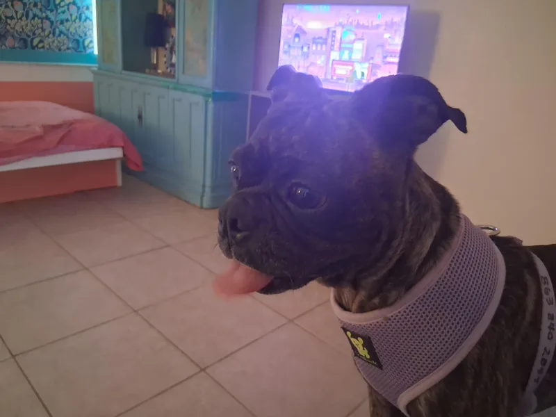 Marnie thumbnail 2