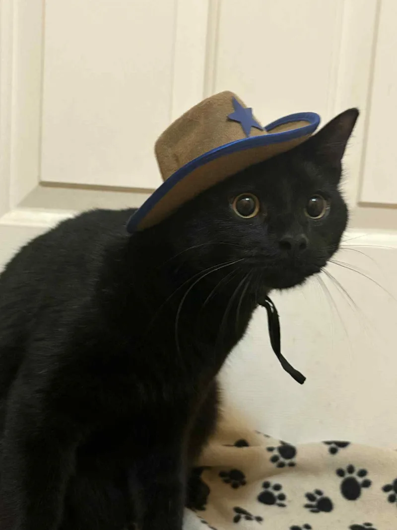 Big Foot thumbnail 3