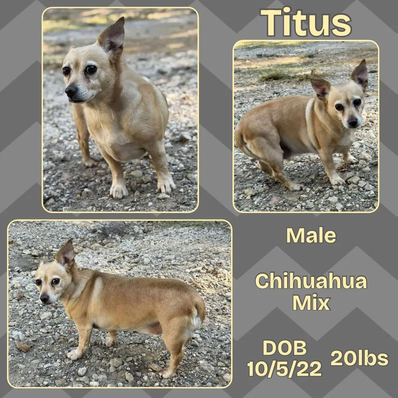 Titus